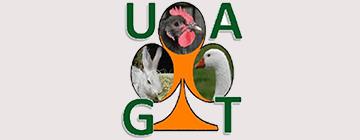 Union des Amateurs de la Géline de Touraine